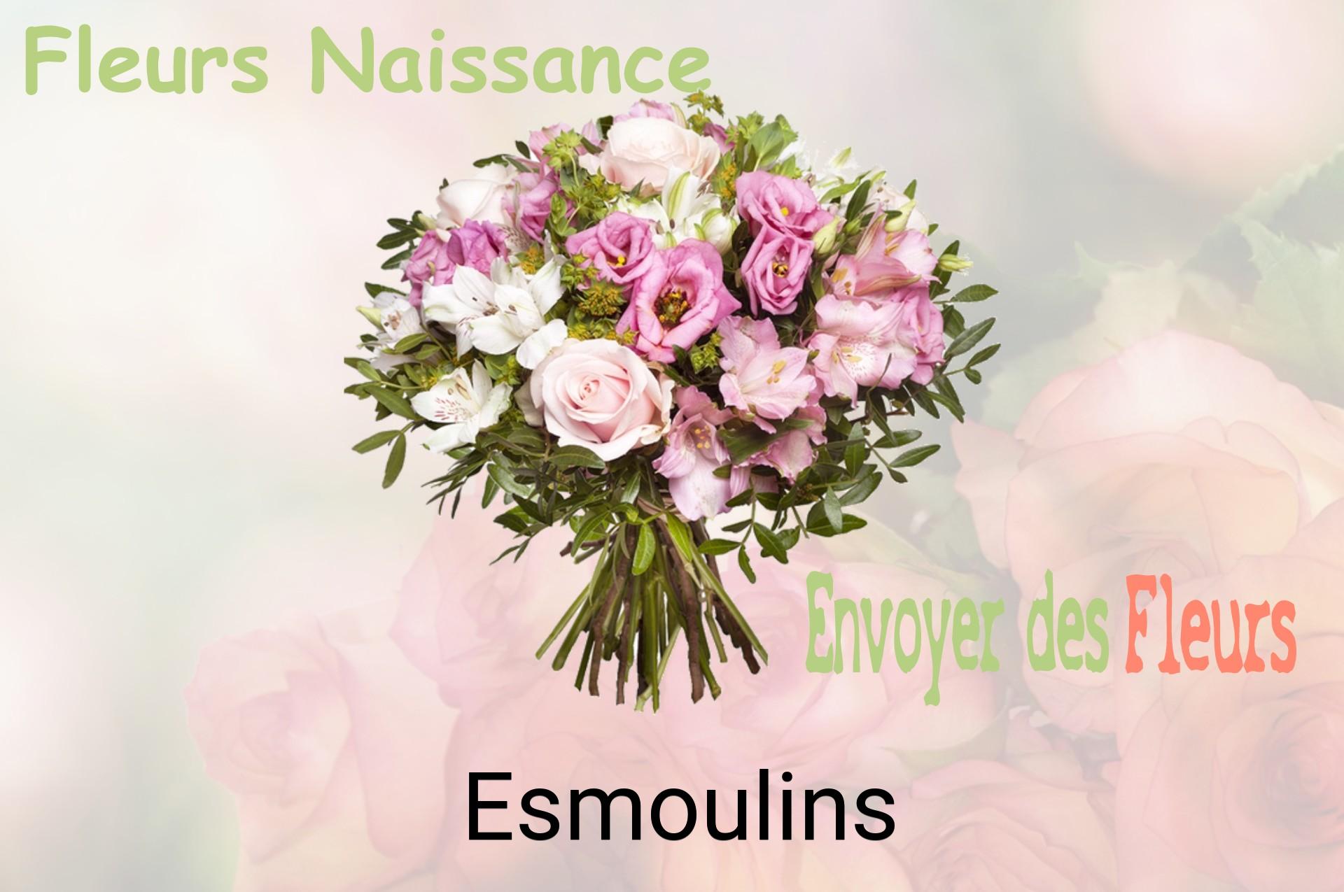 Bouquet de fleurs de naissance livré à Esmoulins